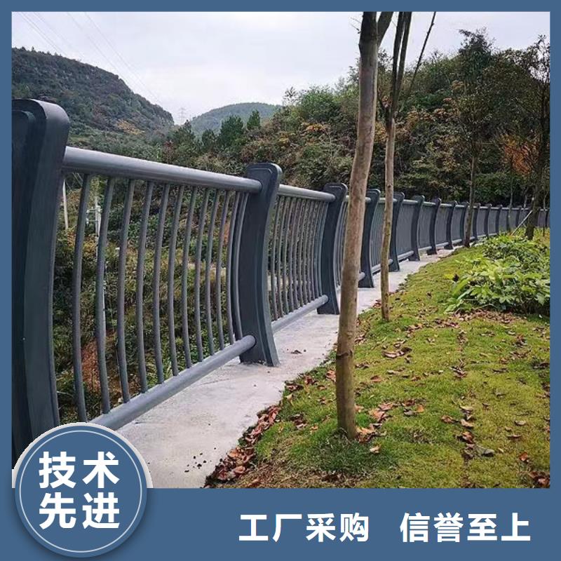 河道护栏精挑细选好货