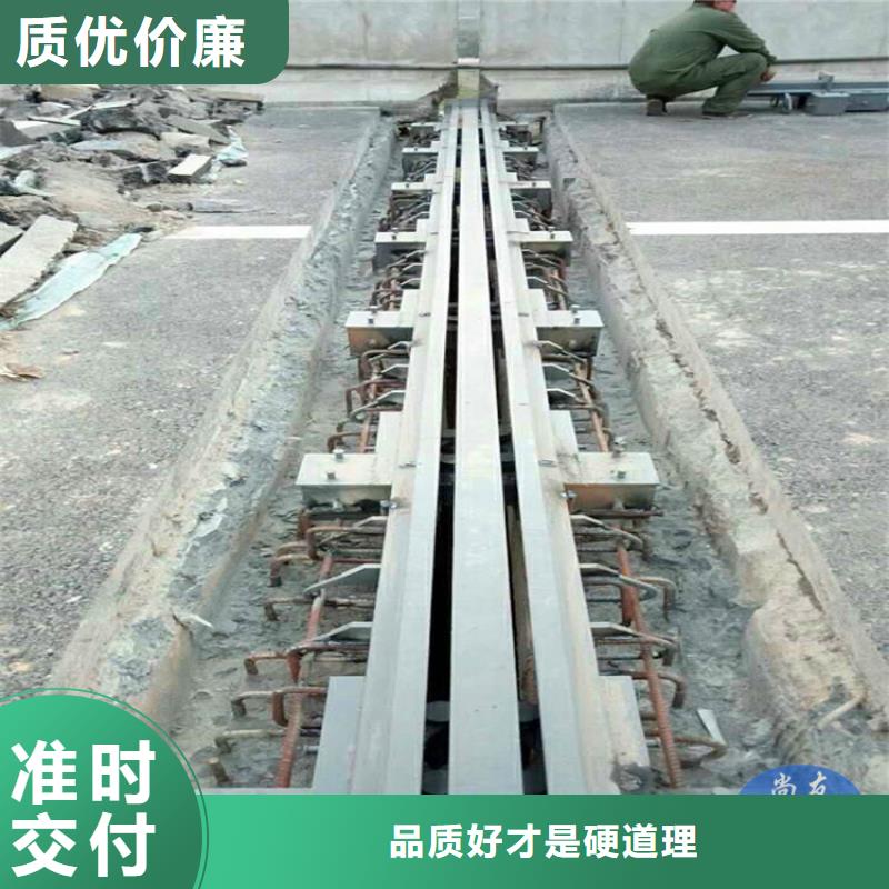 桥梁伸缩缝,连廊支座性能稳定