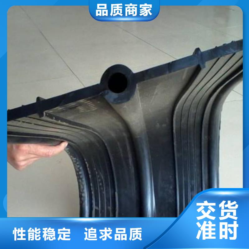 【橡胶止水带】,网架支座厂家为您提供一站式采购服务