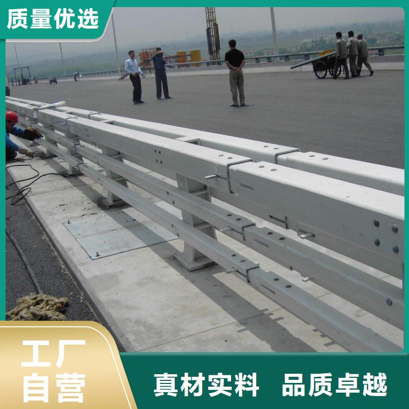 防撞护栏镀锌喷塑防撞栏厂家直营