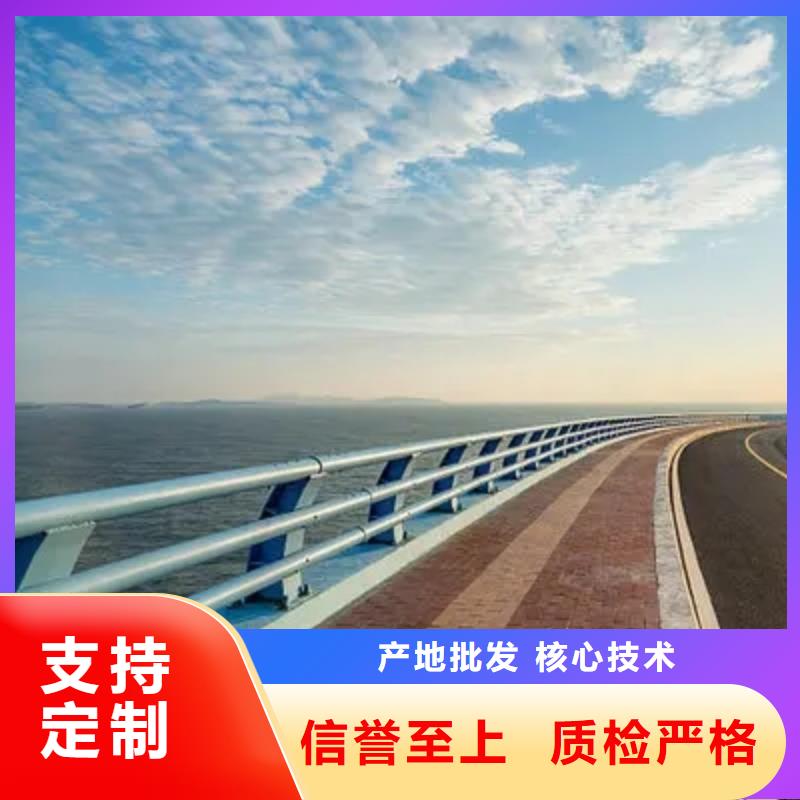 桥梁护栏_M型防撞护栏现货交易