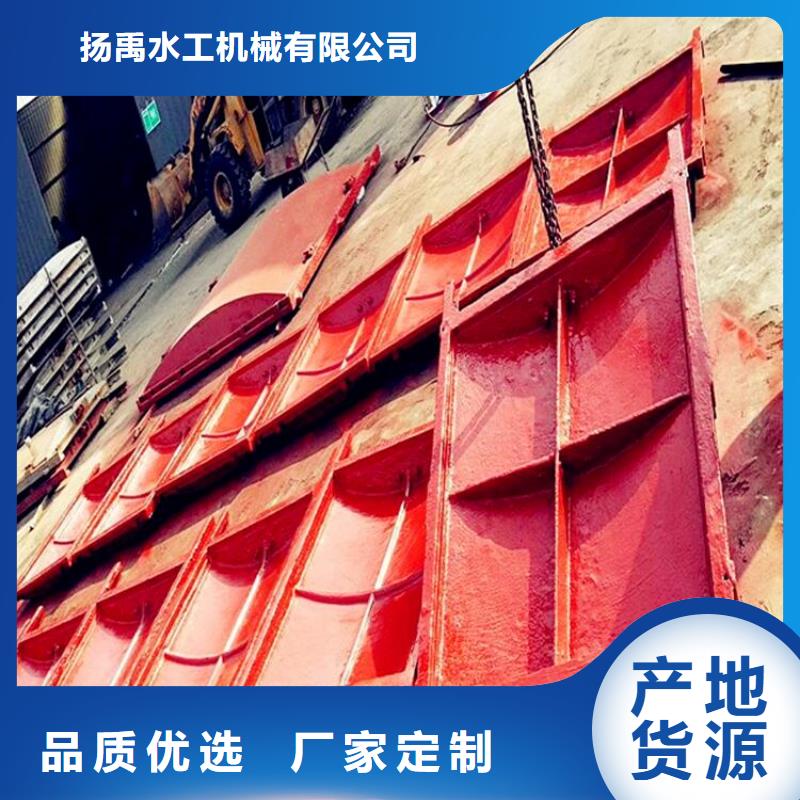 铸铁闸门,铸铁镶铜闸门真实拍摄品质可靠