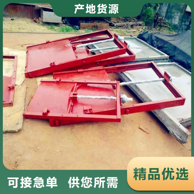 铸铁闸门 拦污栅联系厂家