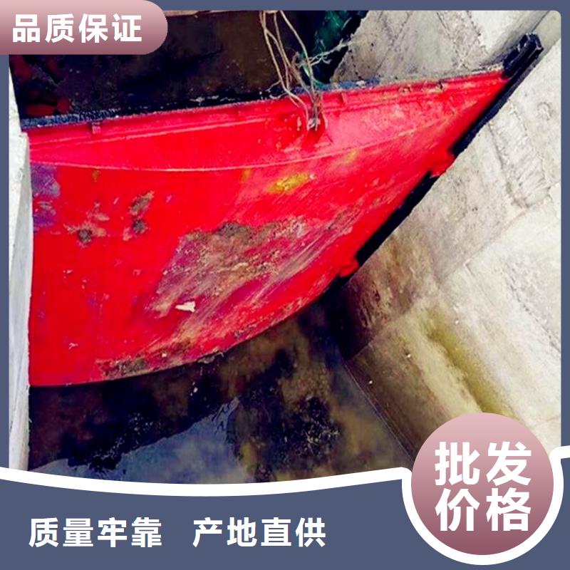 钢制拍门-视频-沈阳市钢制拍门-该地可服务区域新民|法库|营口|大连|辽阳|鞍山