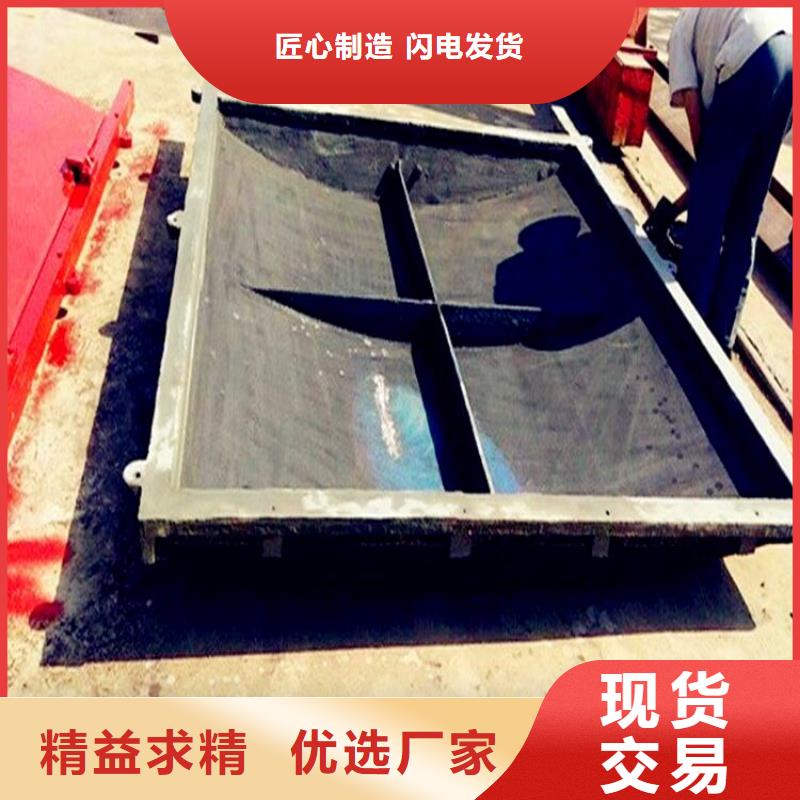 铸铁闸门扇形闸门随心所欲定制