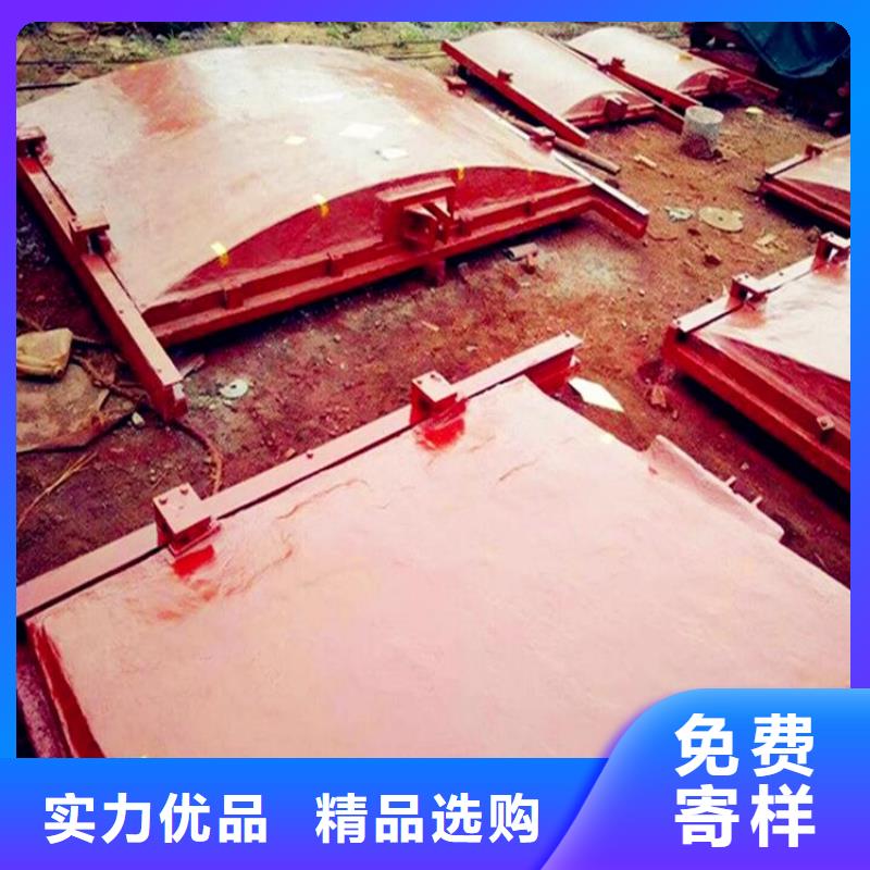 铸铁闸门卷扬启闭机品质保证实力见证