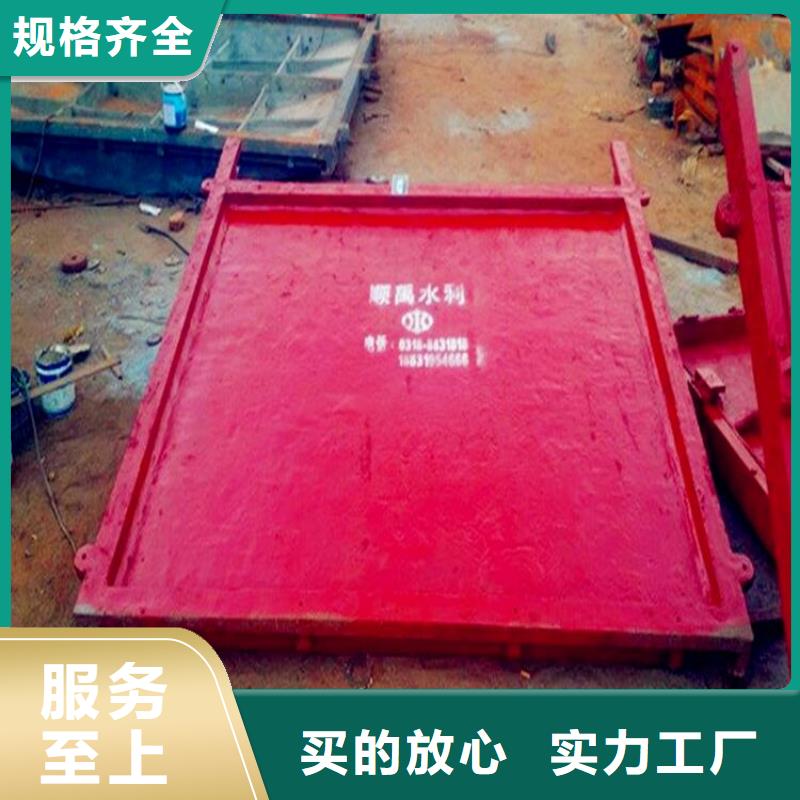 铸铁闸门好品质用的放心