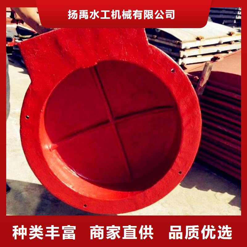 【铸铁闸门,钢制拍门专注产品质量与服务】