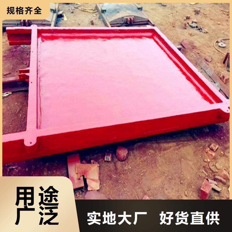铸铁闸门,铸铁镶铜闸门真实拍摄品质可靠