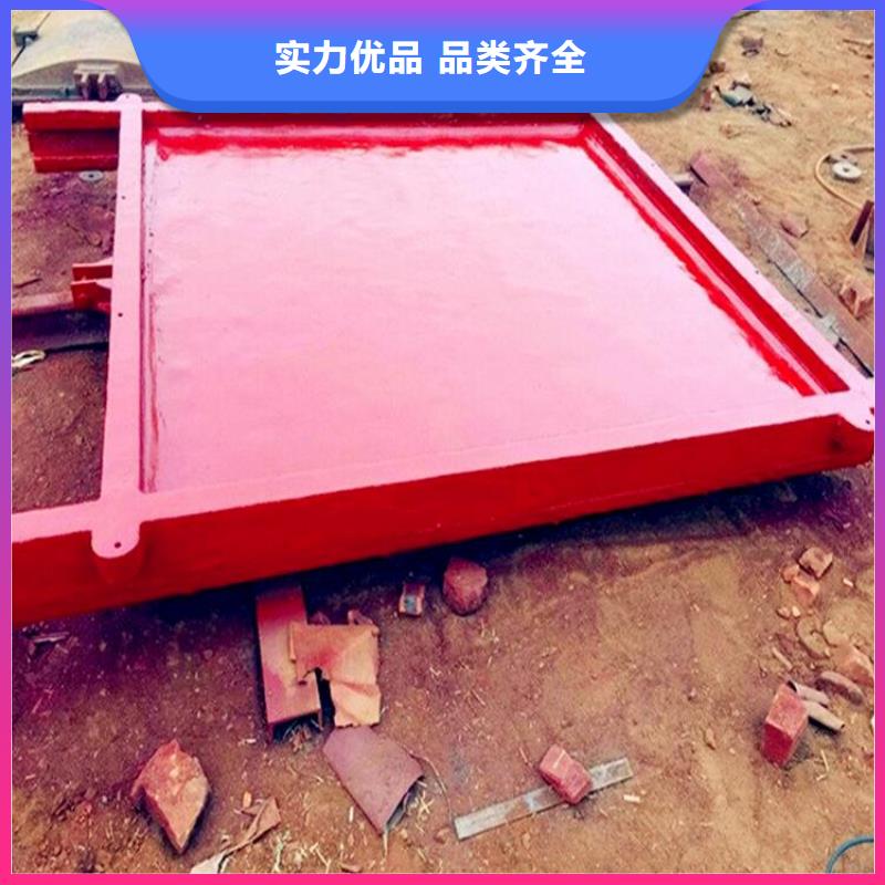 钢制拍门-视频-钢制拍门-陕西省榆林市府谷|定边|商洛|西安|咸阳|汉中|铜川|宝鸡【同城】 【附近】供应商