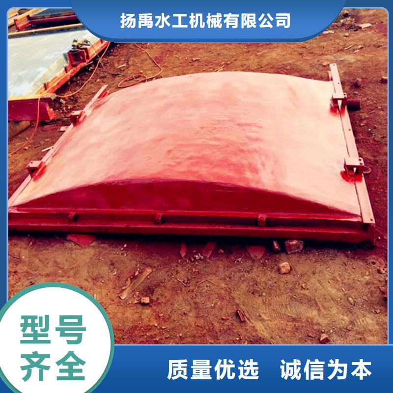  铸铁闸门精选优质材料