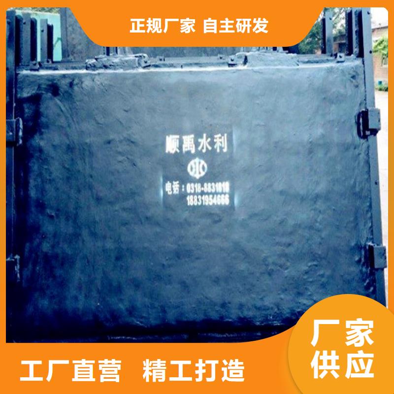 铸铁闸门拱形铸铁闸门设计合理