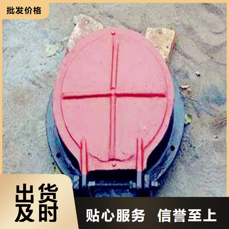 铸铁闸门好品质用的放心