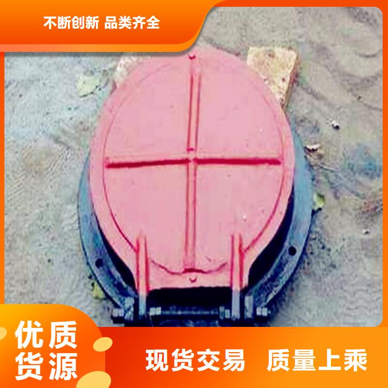 铸铁闸门,钢制闸门货源直供