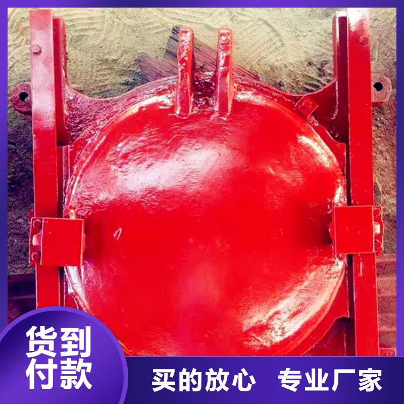 钢制拍门-视频-钢制拍门-陕西省榆林市府谷|定边|商洛|西安|咸阳|汉中|铜川|宝鸡【同城】 【附近】供应商