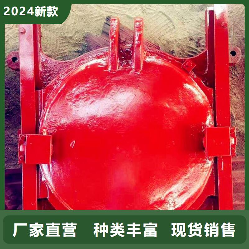 铸铁闸门 拦污栅联系厂家