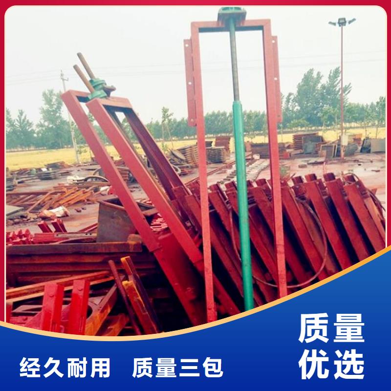 铸铁闸门,【手提铸铁闸门】产品细节参数