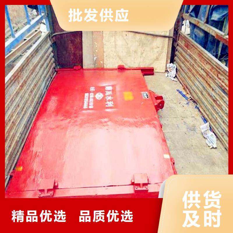 铸铁闸门-封闭式启闭机品类齐全