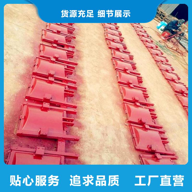 铸铁闸门,铸铁镶铜闸门真实拍摄品质可靠
