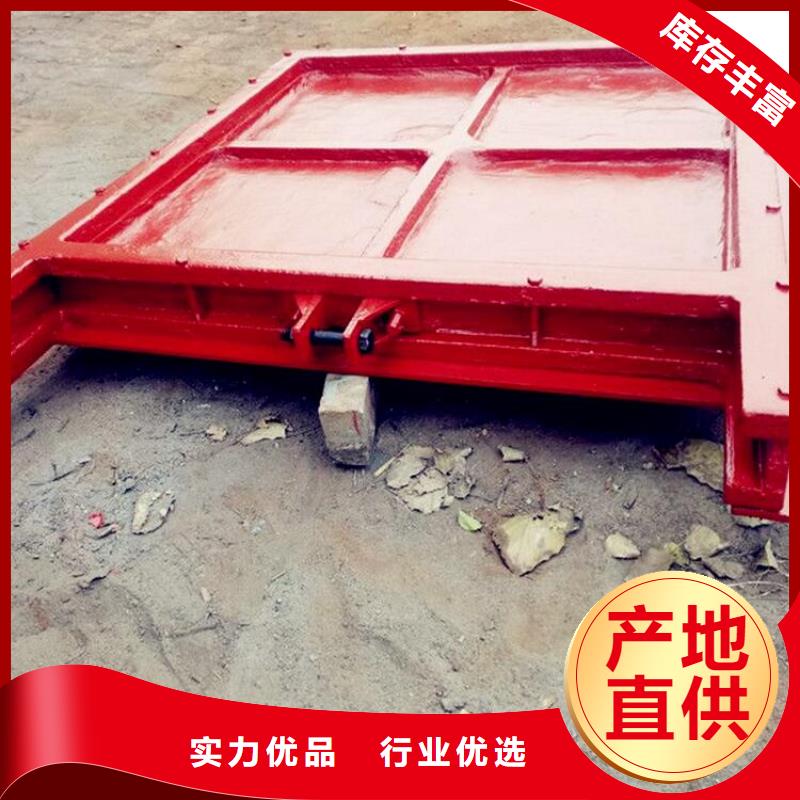 铸铁闸门不锈钢拍门支持非标定制