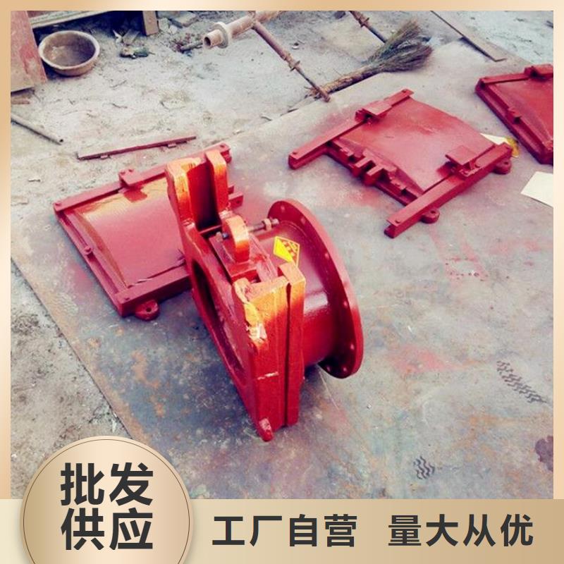 铸铁闸门丰富的行业经验