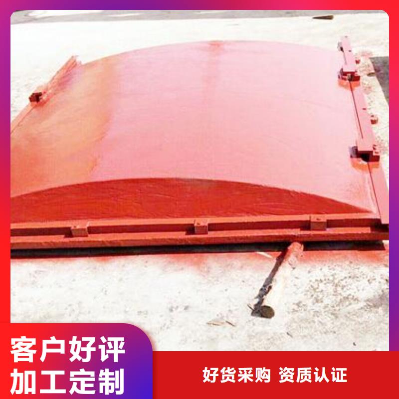 铸铁闸门卷扬启闭机品质保证实力见证