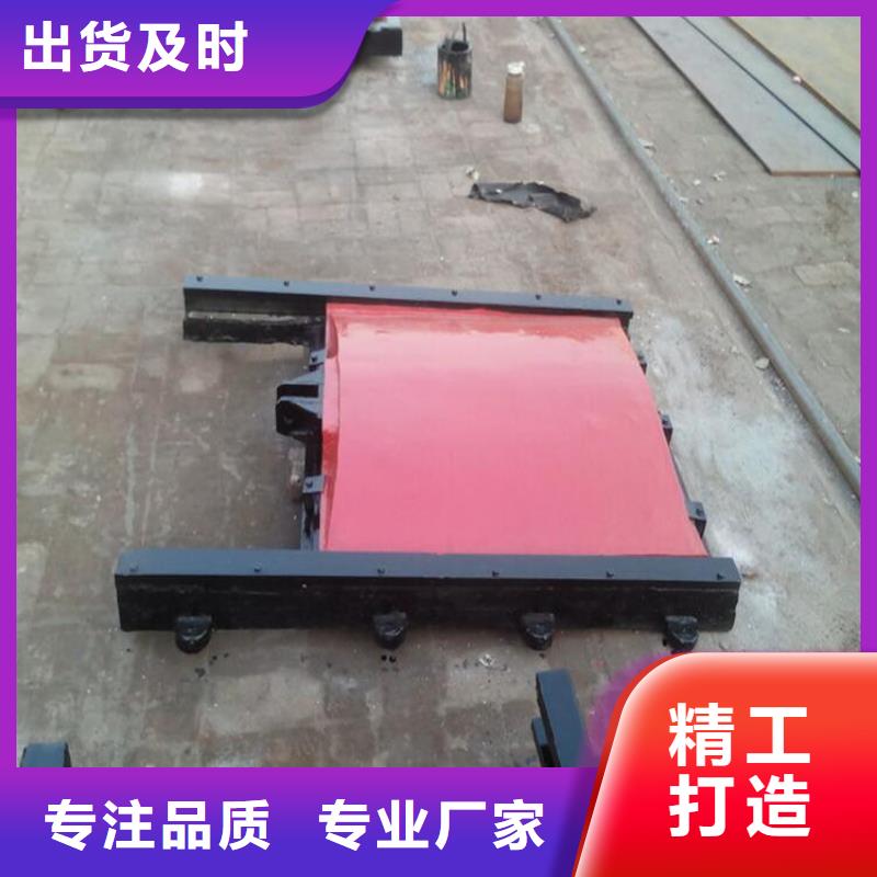 铸铁闸门不锈钢拍门产品参数