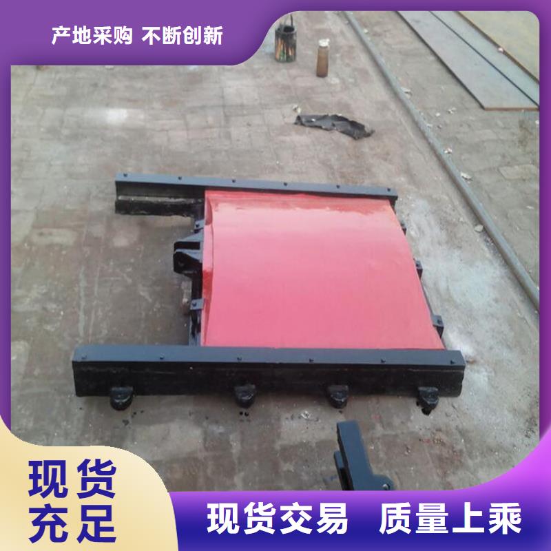 铸铁闸门,【手提铸铁闸门】产品细节参数