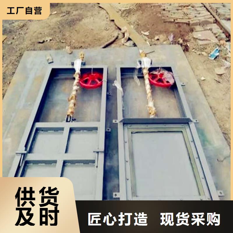 钢制拍门-视频-钢制拍门(清污机)覆盖地域山东省日照市莒县|岚山|青岛|烟台|德州|菏泽
