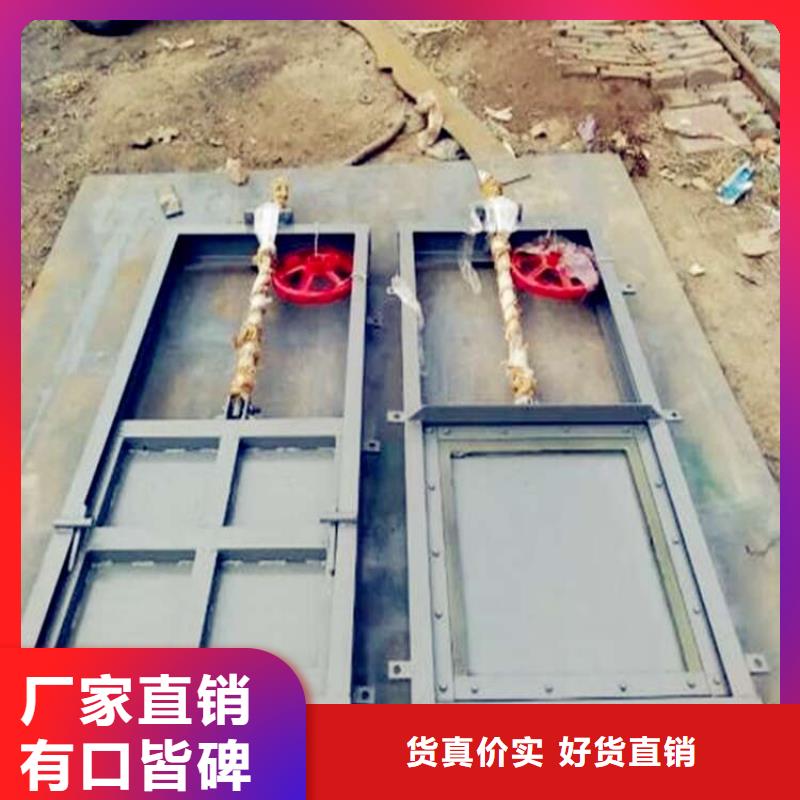  铸铁闸门用心做品质
