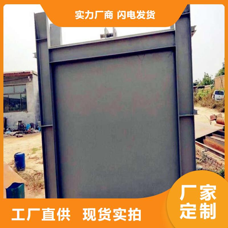 铸铁闸门机门一体闸门批发商