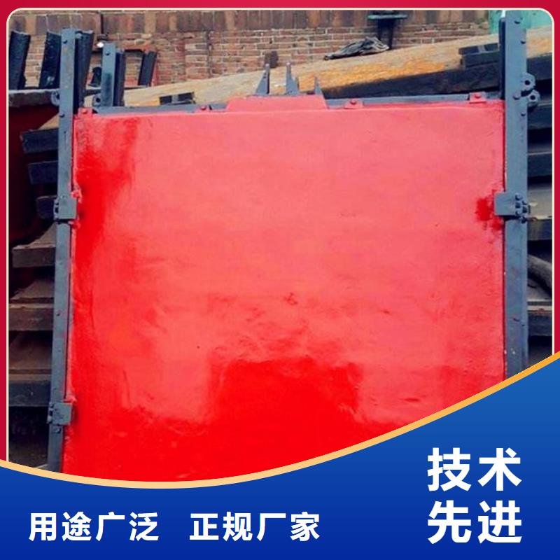 铸铁闸门不锈钢拍门支持非标定制