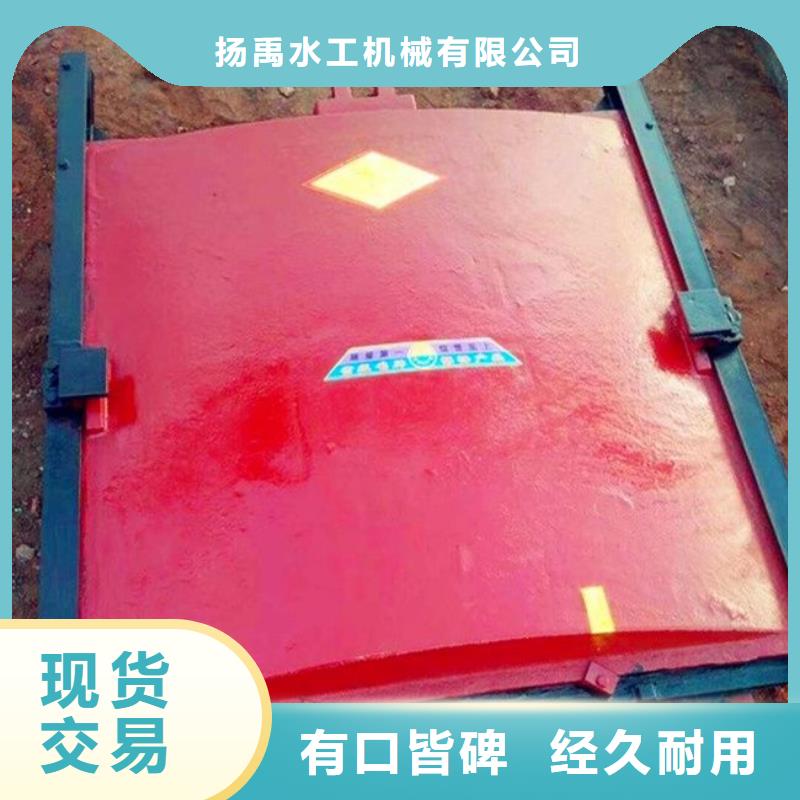 铸铁闸门丰富的行业经验