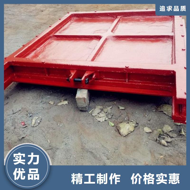 铸铁闸门机门一体闸门批发商