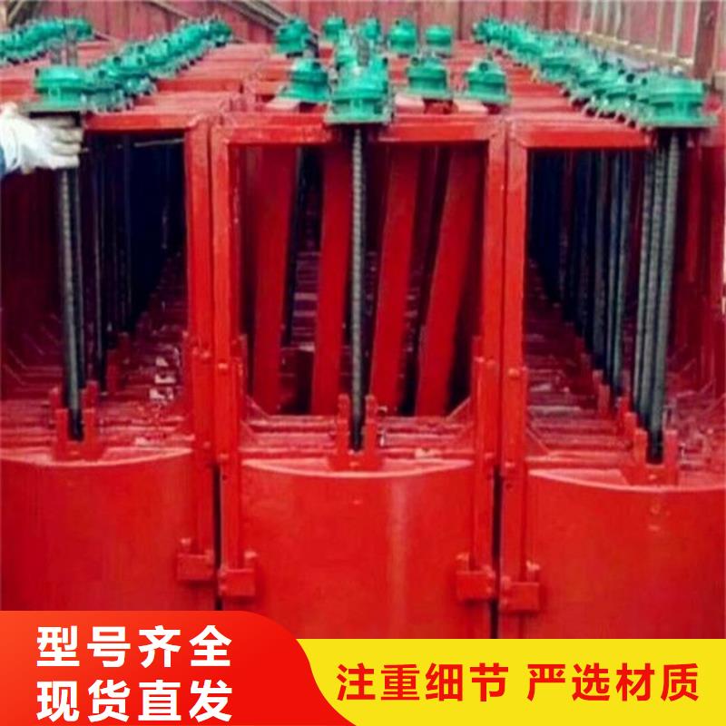 【铸铁闸门,钢制拍门专注产品质量与服务】