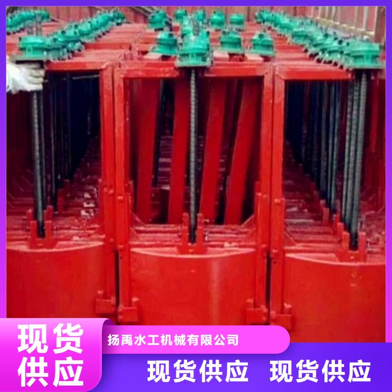 600手动铸铁闸门