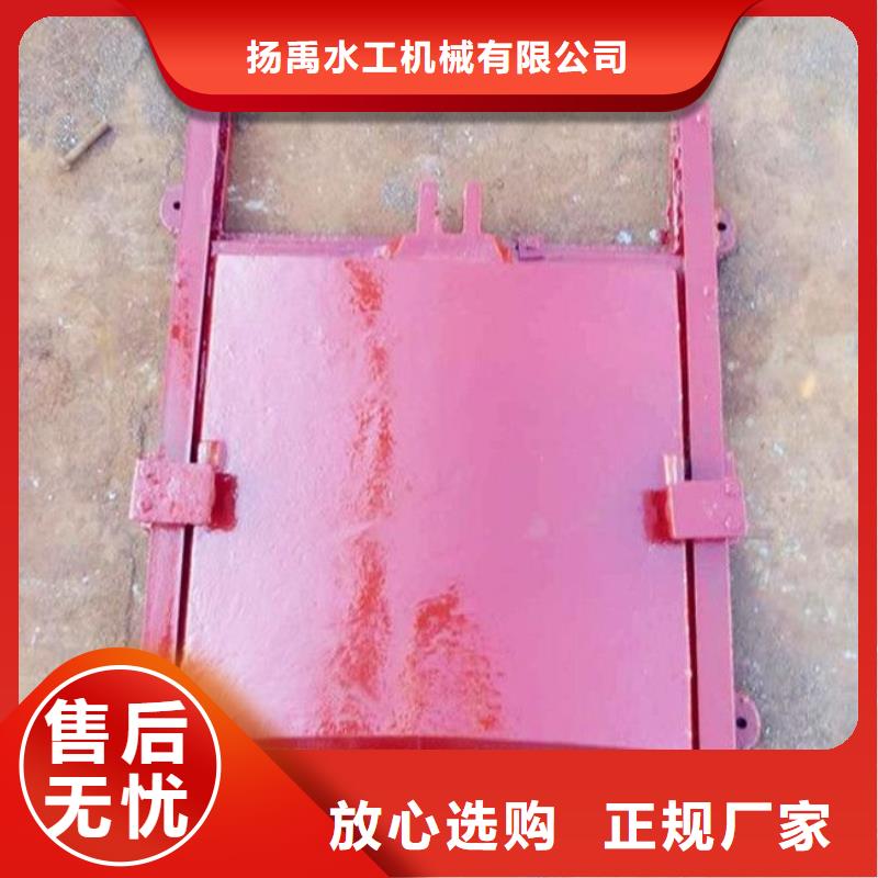 铸铁闸门机门一体闸门批发商