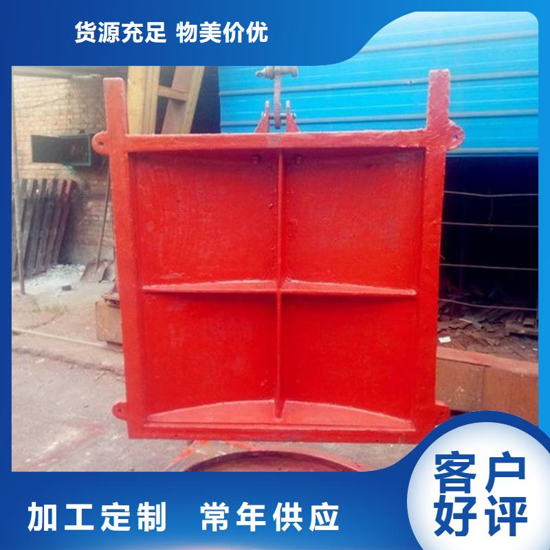 【铸铁闸门,钢制拍门专注产品质量与服务】