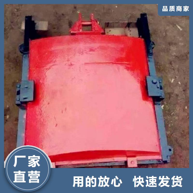 铸铁闸门钢制拍门厂家本地厂家值得信赖