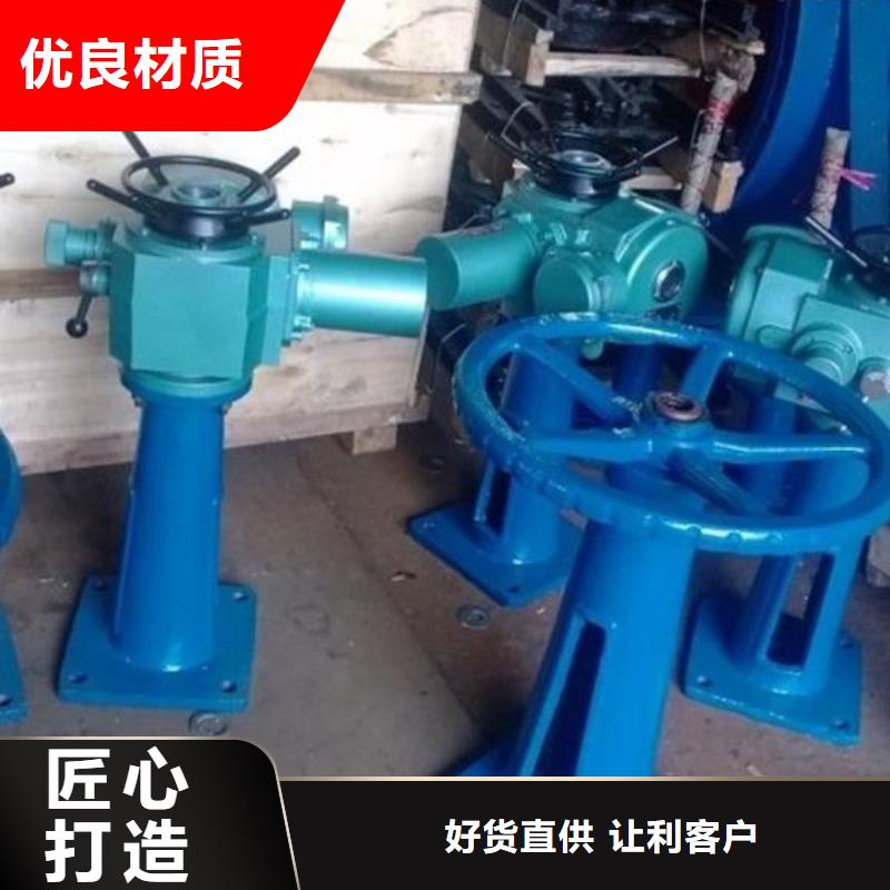 12吨手电两用螺杆式启闭机实体大厂河北扬禹水工机械有限公司
