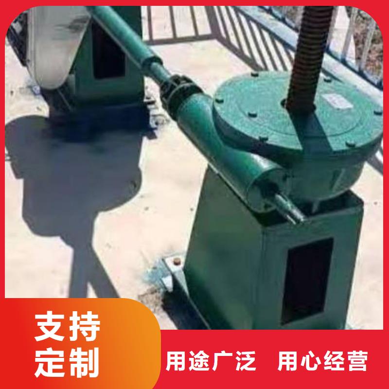 12吨手电两用螺杆式启闭机实体大厂河北扬禹水工机械有限公司