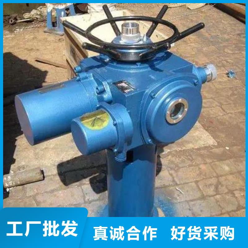 螺杆启闭机追求细节品质