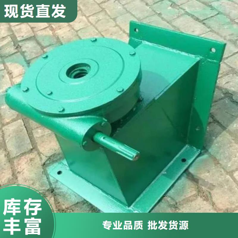 螺杆启闭机铸铁闸门供货及时