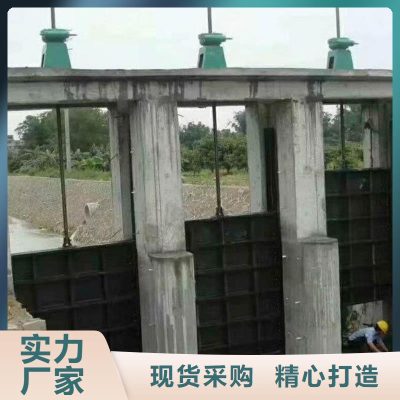 螺杆启闭机双向止水闸门您想要的我们都有