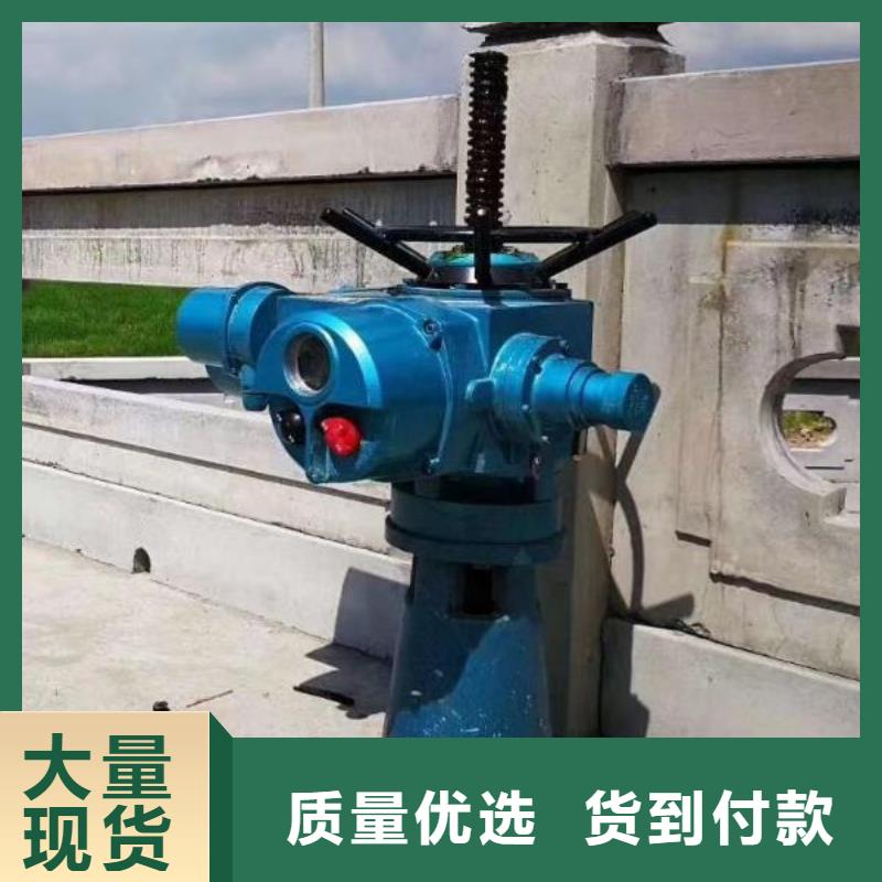 螺杆启闭机钢制拍门厂家选择我们选择放心