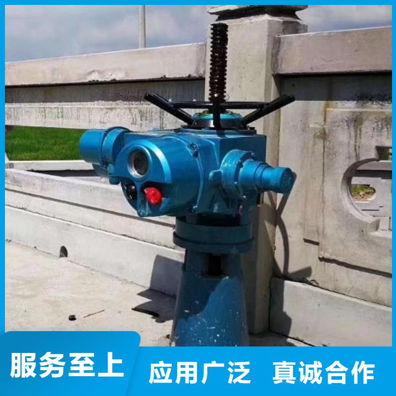 螺杆启闭机铸铁闸门供货及时