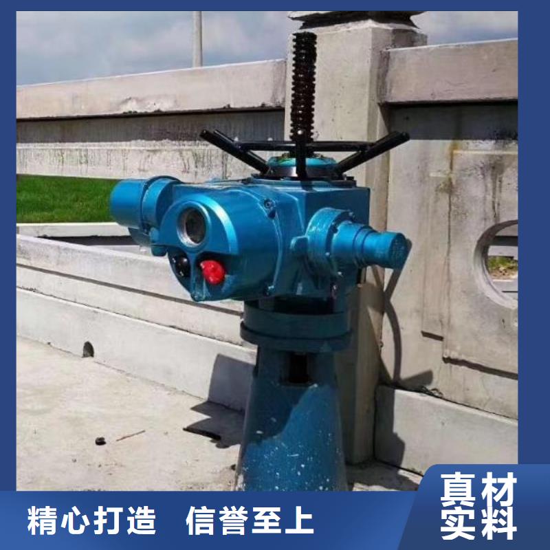 钢制拍门-视频-辽宁省葫芦岛市|建昌|连山|辽阳|营口|本溪|阜新|鞍山|朝阳|锦州钢制拍门-清污机