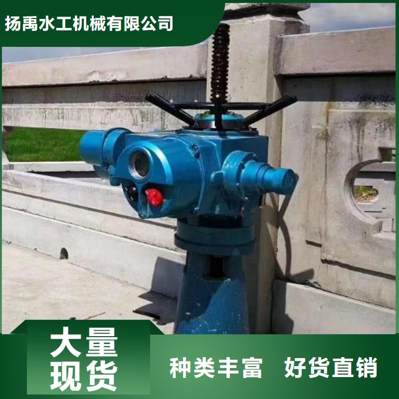 螺杆启闭机,电动装置启闭机厂家直销规格多样
