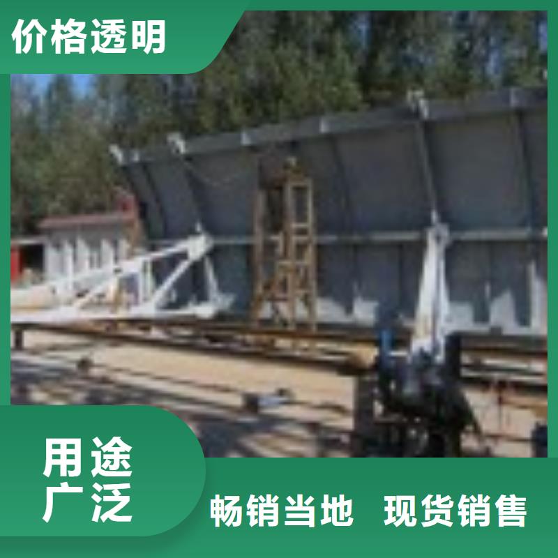 【翻板闸门拦污栅制造生产销售】