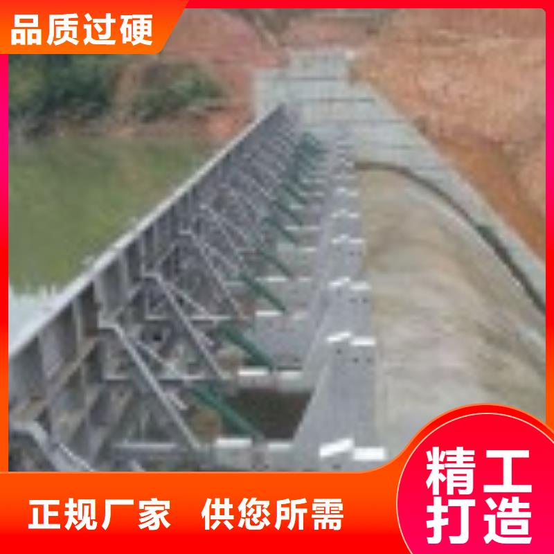 翻板闸门【拦污栅】支持大批量采购